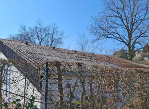 Neues Dach fuer's  Clubhaus