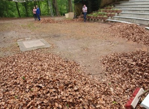 Pflege und Erhalt der Waldbühne Höntrop