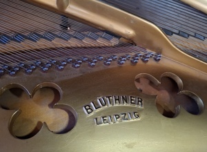 Flügelrenovierung Liederkranz Schömberg
