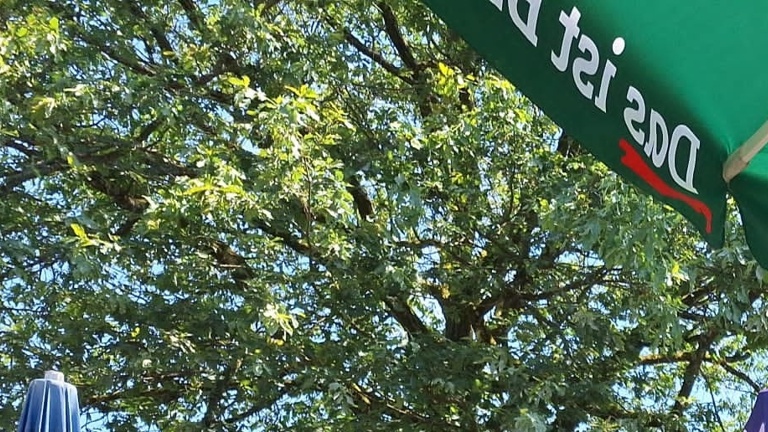 Sonnenschirme auf unserem &amp;quot;Marktplatz&amp;quot;