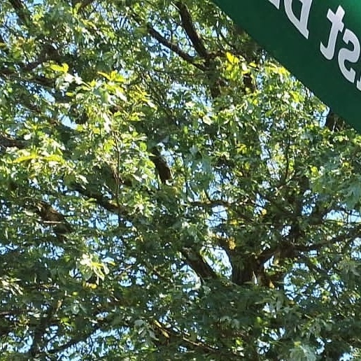 Sonnenschirme auf unserem "Marktplatz"