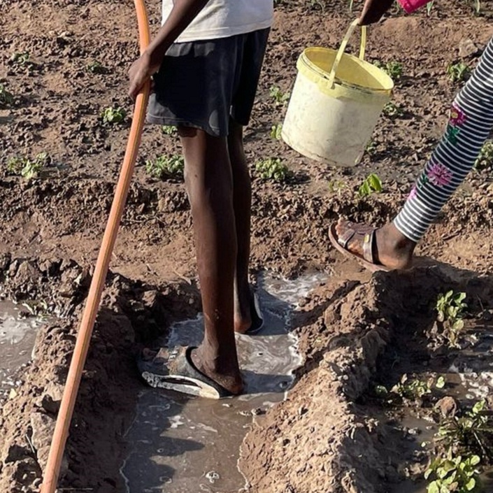 Bewässerungssystem für Frauen in Gambia