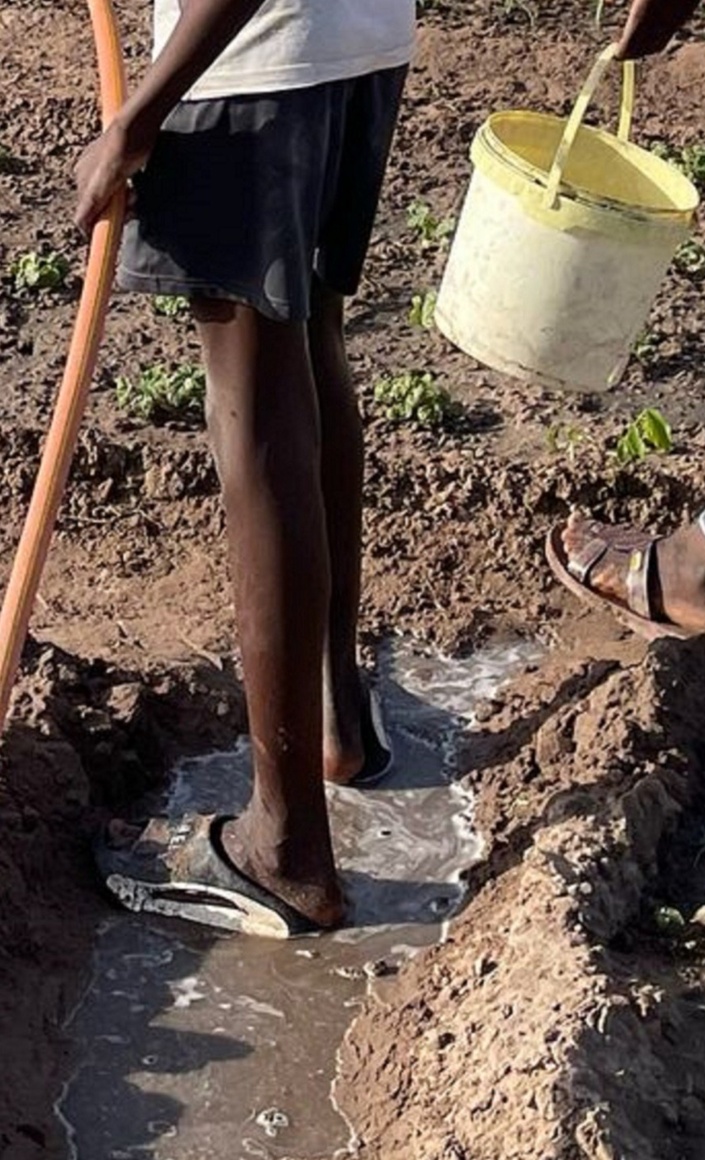 Bewässerungssystem für Frauen in Gambia