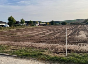 Ebbe-Flut-Reitplatz Reit- und Fahrverein Buchen (Training und Turnier)