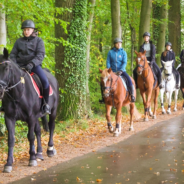 Neues Schulpony für den ZRFV Riesenbeck