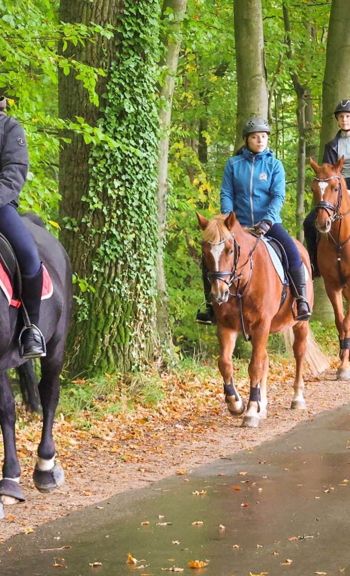 Neues Schulpony für den ZRFV Riesenbeck