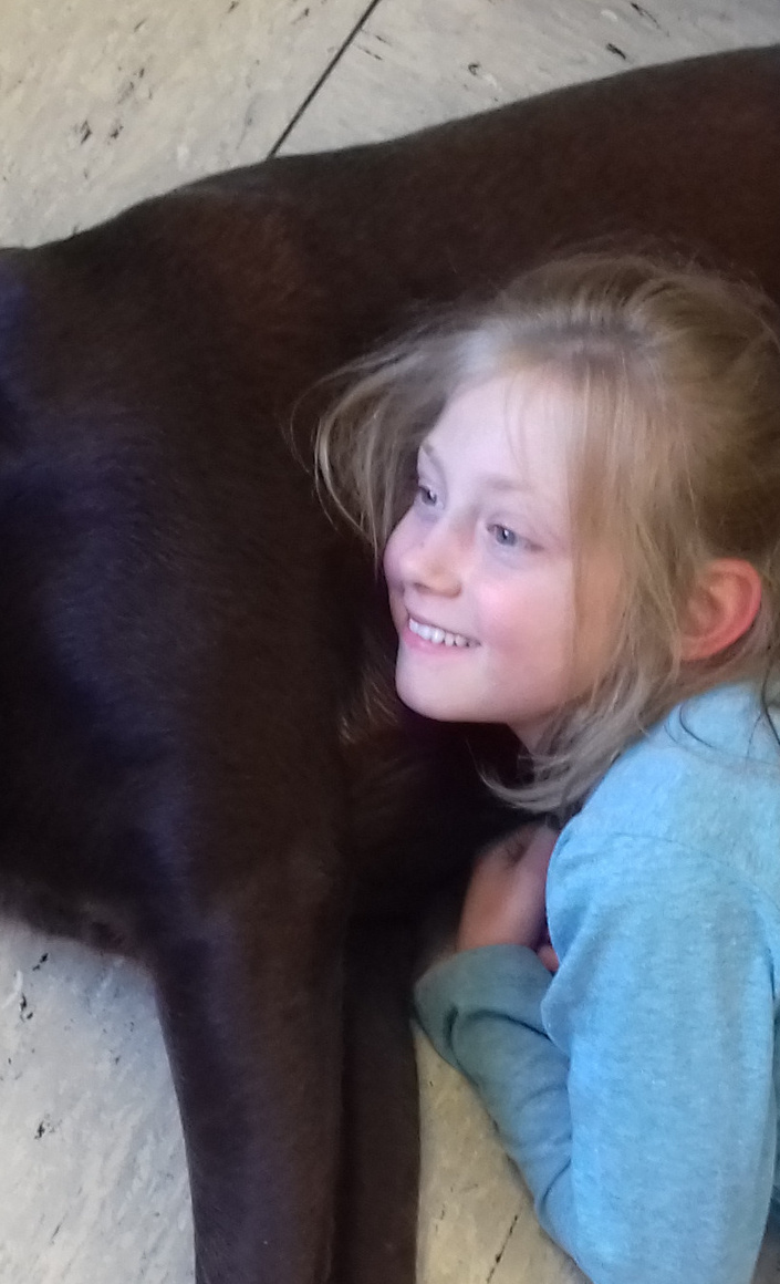 Hunde helfen Kindern