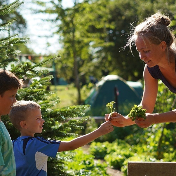 Sommercamps für Kinder & Jugendliche