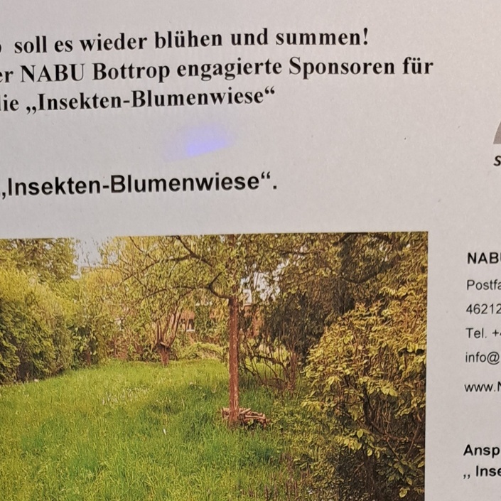Freischneider für die Nabu Insekten-Blumenwiese