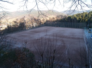 SV Bühlertal Kunstrasen 