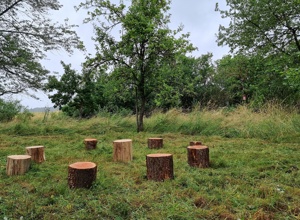Streuobstwiese im Schulprojekt