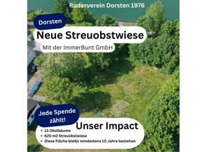 Obstbaumwiese für Nachhaltigkeit & als Erholungsbereich