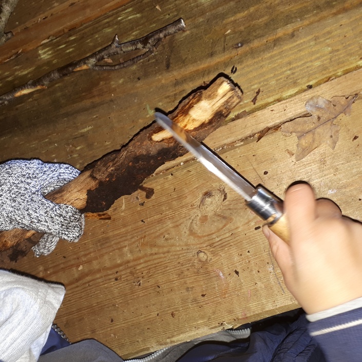 Walderlebnisgruppe für Kinder
