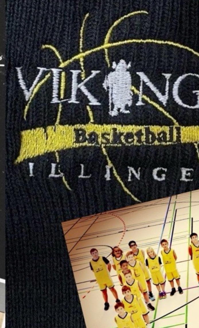 Erlebnisfahrt Basketball in Wien