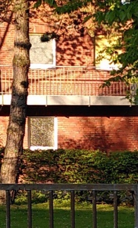 Aufwertung des alten jüdischen Friedhofs