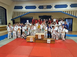 Judomatten für Judo im TKJ Sarstedt