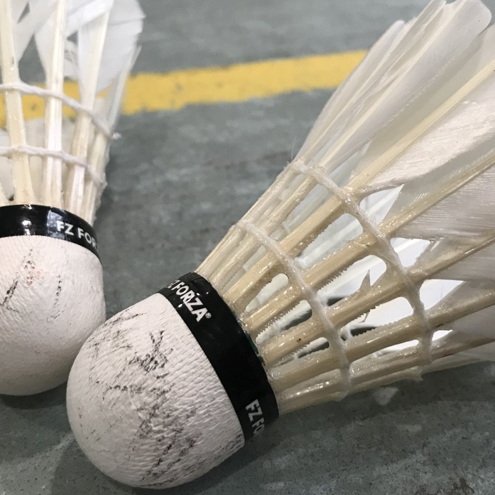 10. Sommerschleifchen - Badmintonturnier