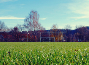 Sportplatzinstandsetzung inkl. neuer Tore