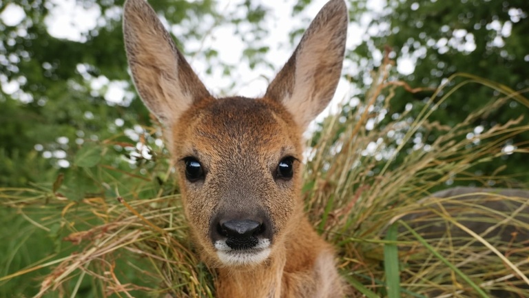 Gemeinsam Leben retten!