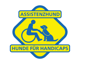 Assistenzhundeausbildung für Labrador-Rüde Magic