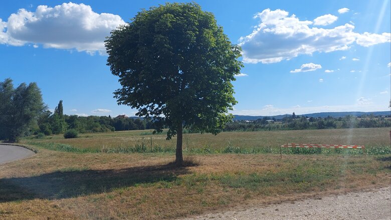 Große Ansicht vom Video