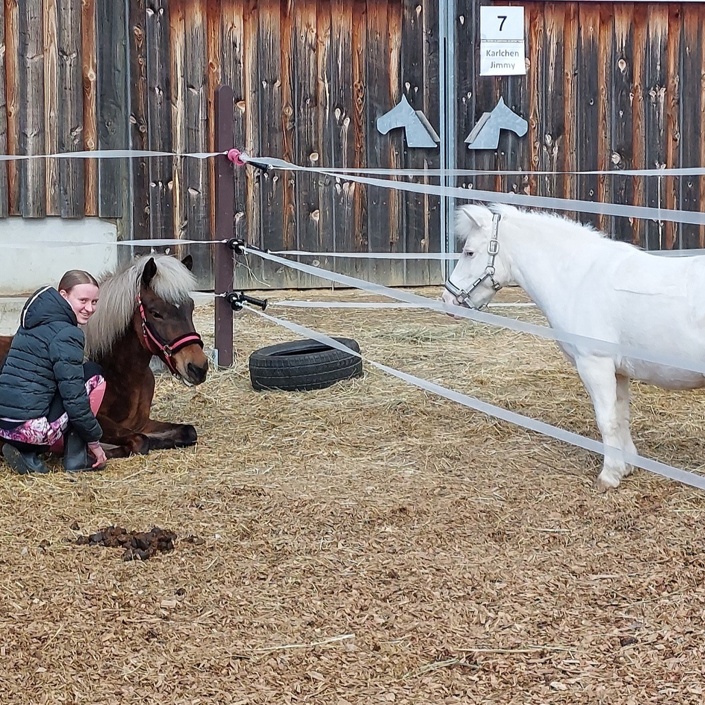 Wegbefestigung Paddocks