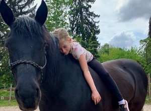 neues Therapiepferd für die Kinder-und Jugendhilfe