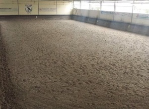 Neuer Hallenplaner
