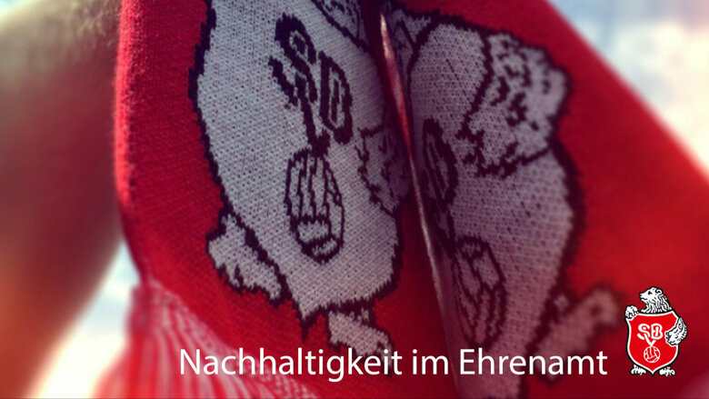 Große Ansicht vom Video