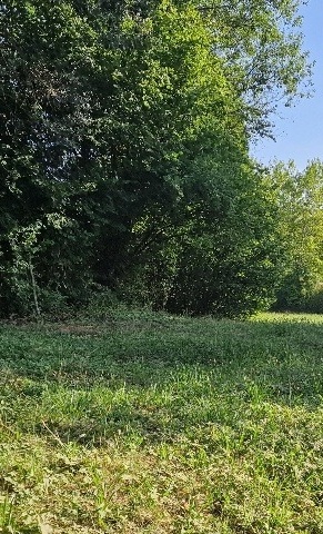 Kinderspielplatz im Tennisclub