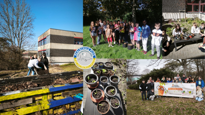 Ein Gewächs-und Gartenhaus für die GartenAckerdemie der RS Hachenburg