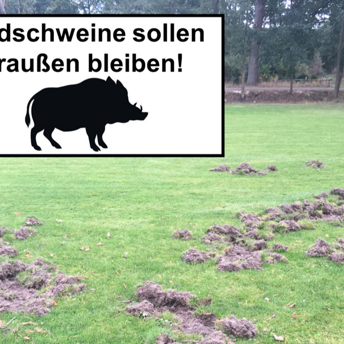 SGU-Sportplätze: Material für Instandsetzung