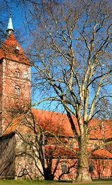 Gesamtkunstwerk Alexanderkirche