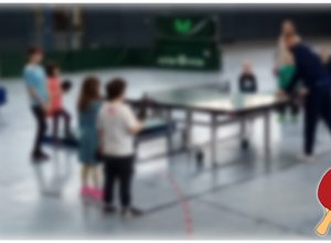 Höhenverstellbare Tischtennisplatte und Kinderschläger