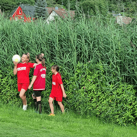 Ballfangzaun Hauptspielfeld Riedsportplatz