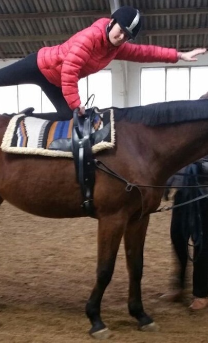 Neuer Sandplatz für Reitunterricht und Turnier