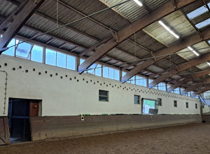Sanierung Fenster-RVG