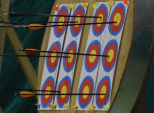 Leichte Lamellenscheiben für Bogensport