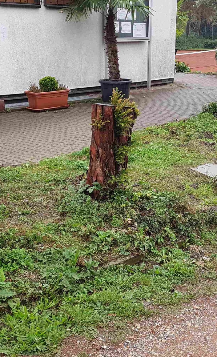 Wir machen den Weg neu!