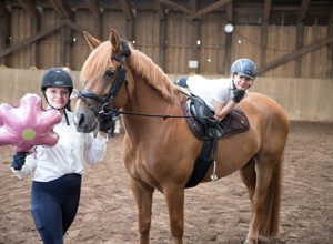 Neues Pferd für unseren Sport