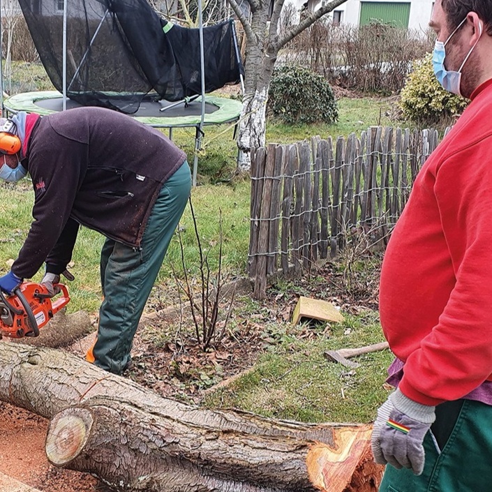 Ob Apfel oder Pfläumchen, „Katrins Garten“ wünscht sich ein Bäumchen