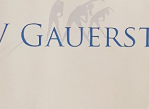 LTV Gauerstadt - Sanierung Sportheimdach