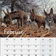 Eselpark Kalendar 2026