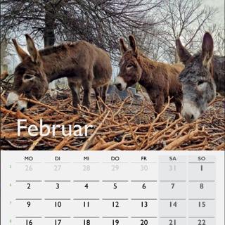 Eselpark Kalendar 2026