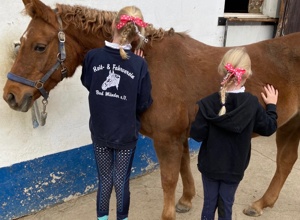 Volksbank: Unsere Reitkinder brauchen dringend ein neues Schulpferd