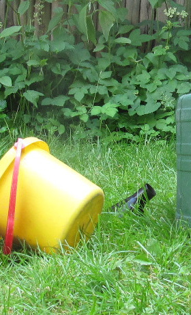 Erlebnisgarten im Familienzentrum
