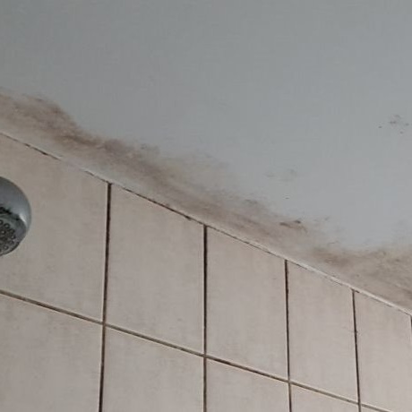 Sanierung Duschkabinen beim  SV Resse