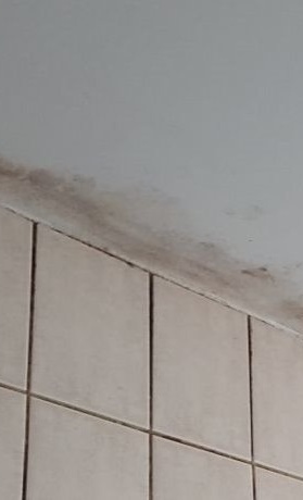 Sanierung Duschkabinen beim  SV Resse