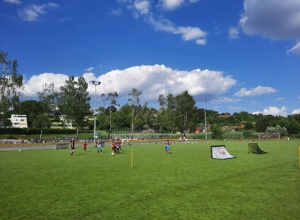 LED Flutlichtanlage TSV Tettnang Abt. Fußball