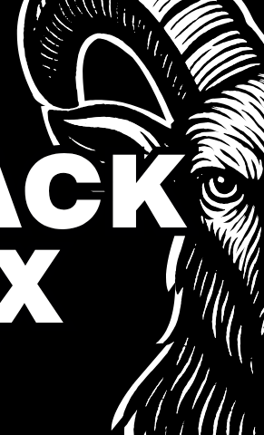 Trikotsatz für unsere Rugby-Kinder- und Jugendabteilung BlackIbexRugby